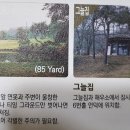 P-조일