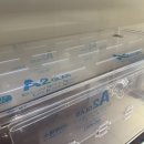 햄스터 분양 로던트 클럽 충남점 이미지