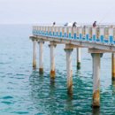 울진시범바다목장해상낚시 이미지