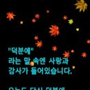 보람식품 이미지