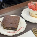 오자매 애견살롱 이미지