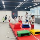 다오름태권도장 이미지