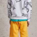 오렌지스웻 이미지