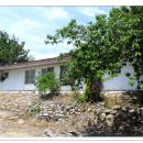 청도의하루 이미지