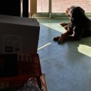 요세라코리아 이미지