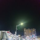 욱이네활어 | [양양먹방]영주활어,대포항수산시장에서 오징어회떠먹기!