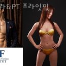 프라잇핏
