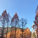 금정산업주식회사 이미지