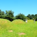 원유남 선생묘 이미지