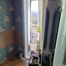 호계본동로 이미지