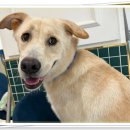 아이조아 요양보호소 서울점 이미지