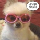 파리바게뜨한국병원점 | [7月_2] 落ち込んだりもするけど、私は元気です。