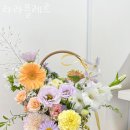 라라플레르 이미지
