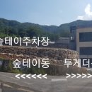 숲테이투게더