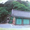 칠성루및휴계재사 Daum카페