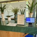 디지털월드치과의원 이미지