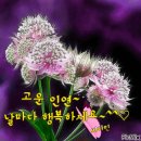 멋진 친우 이미지