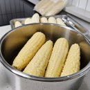 무릉도원면-51 이미지