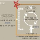 고치집 이미지