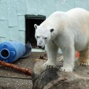 통키통키 이미지