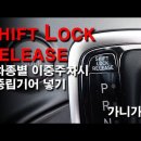 채홍일 카페-[2중 주차시] 시프트 락(LOCK), 릴리즈 스위치 사용방법! 주차 중에 중립(N) 넣는 법! 이미지