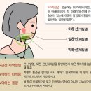 미사연세이비인후과의원 이미지