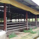 한우축사 이미지