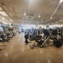 저스트 짐 이미지