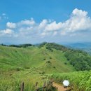 20250822 민둥산 장전계곡 실버벨교회 이미지