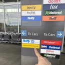 신유렌트카 이미지