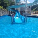 엘리시안강촌수영장 이미지