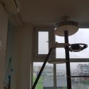 푸시캣 | 고양이 ♡ 푸시캣 캣폴 후기 :)