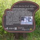 고양밥할머니석상 이미지