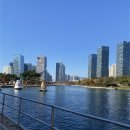 태수목장 | [일상 #4]11월의 일상