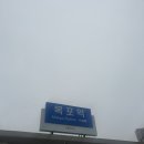 남자가 좋아서 목포까지 간 여자