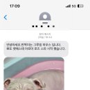 반짝이는 그루밍 하우스 이미지