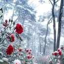 선명농장 이미지