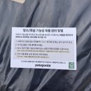 파타고니아 멘즈 토렌트쉘 3L 레인 재킷 후기 &amp; 사이즈, 착샷