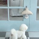 진아이텍 이미지