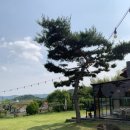 스테이샬롬 이미지