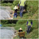 손자농장 이미지