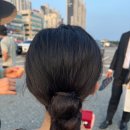 술람미 이미지
