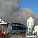 완진농장 이미지