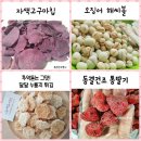 쫑이네보물창고 이미지