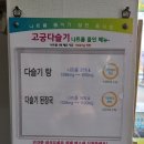 고궁다슬기 이미지