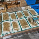 일성상회 | 할머니 모시고 장보러 다녀온 제기동 청량리 경동시장 후기(활전복 8마리 2만원)