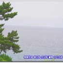 바다와소나무 이미지