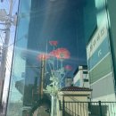 흥해남산초등학교 | [포항꽃집] 포항 흥해꽃집 초곡꽃집 오래가는 꽃다발 추천 : 꽃밭솔