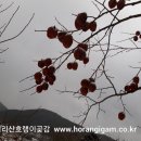 호랭이농장 이미지