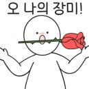 보닉 - 세종특별자치시 한누리대로 331 | 보닉